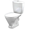 Унитаз -компакт Радуга тарельчатый  Эконом белый